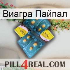 Виагра Пайпал cialis5